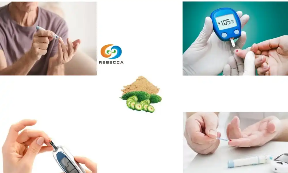 Managing Diabetes Naturally with Bitter Melon Extract Powder